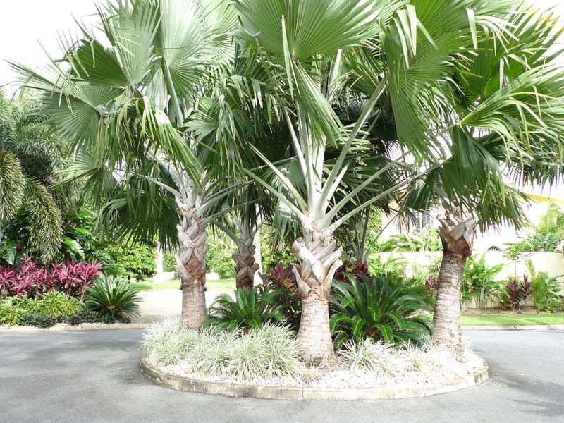 Lot/17 The Sands, Port Douglas QLD 4877