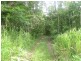Lot/2 Stewart Creek Road, Daintree QLD 4873