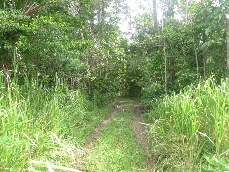 Lot/2 Stewart Creek Road, Daintree QLD 4873
