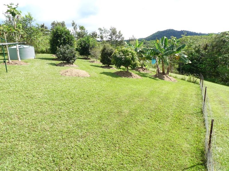 105 Salisbury Drive, Julatten QLD 4871
