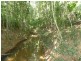 105 Salisbury Drive, Julatten QLD 4871