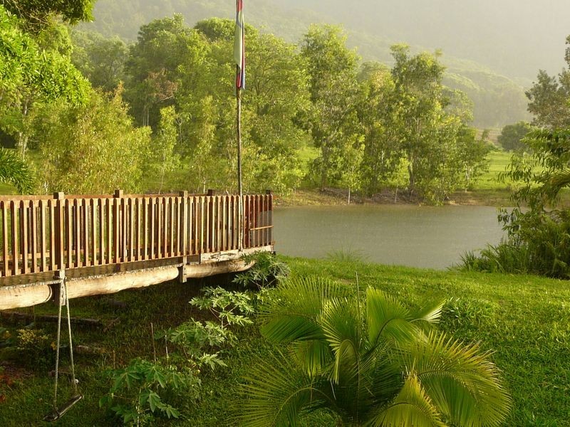 840 Cape Tribulation Road Kimberley, Daintree QLD 4873