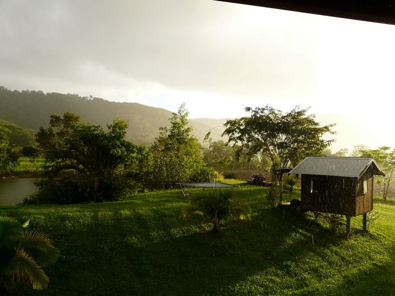 840 Cape Tribulation Road Kimberley, Daintree QLD 4873