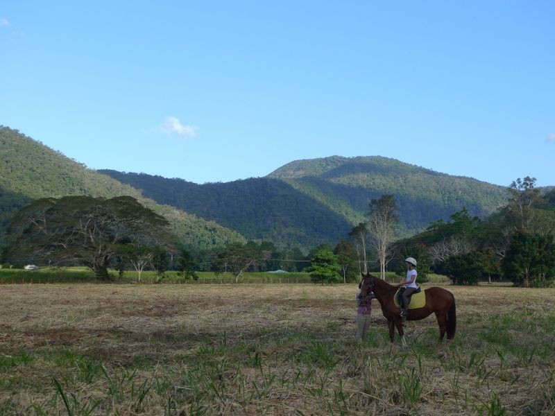 Lot/21 Mowbray River Road, Mowbray QLD 4877