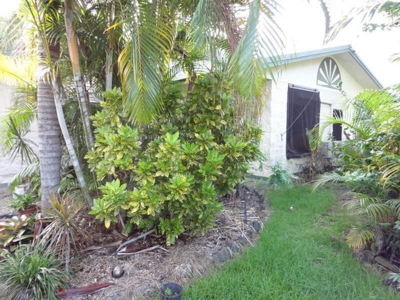 21 Jirimandi Close, Cape Tribulation QLD 4873