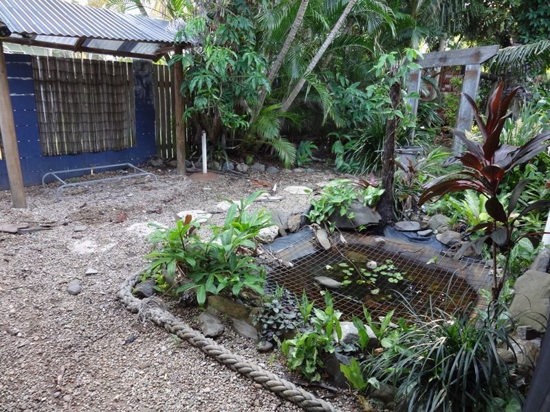 21 Jirimandi Close, Cape Tribulation QLD 4873