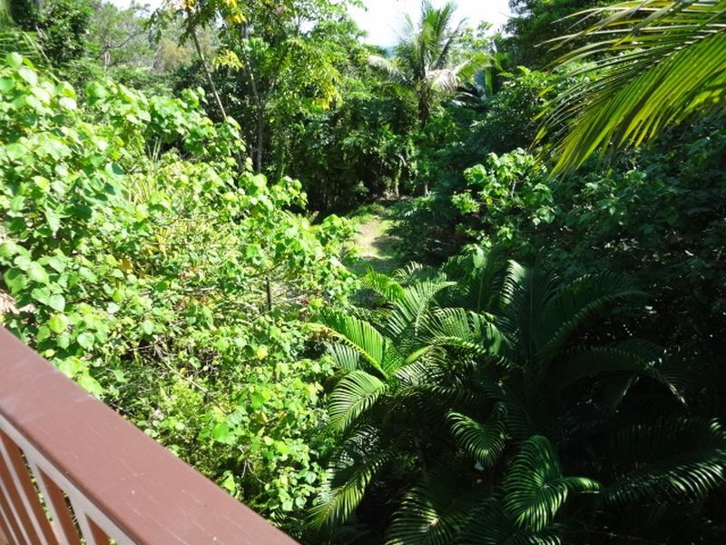 20 Coral Sea Drive, Mossman QLD 4873