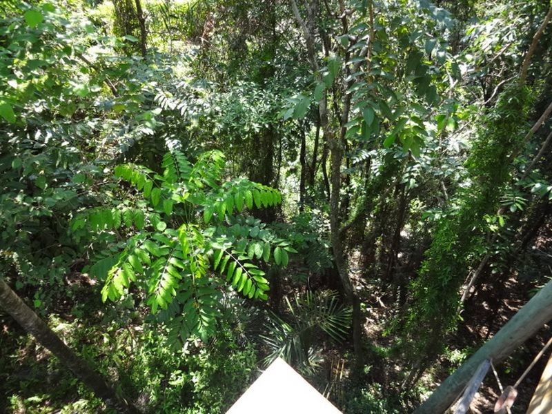 20 Coral Sea Drive, Mossman QLD 4873
