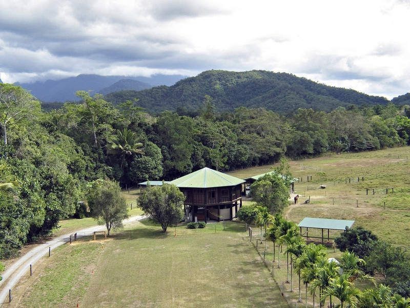 44 Borzi Road, Cape Tribulation QLD 4873