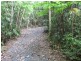 Lot/460 Black Bean Road, Cow Bay QLD 4873