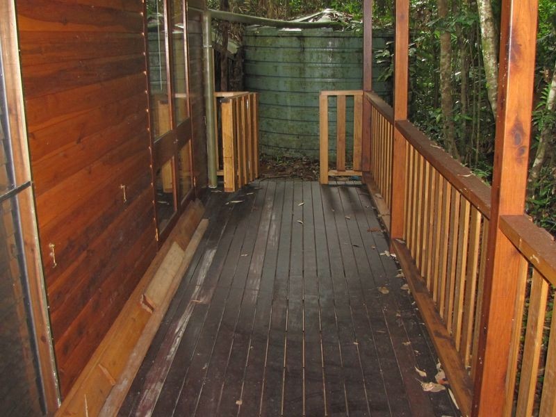 Lot/460 Black Bean Road, Cow Bay QLD 4873