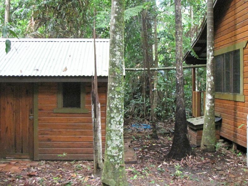 Lot/460 Black Bean Road, Cow Bay QLD 4873