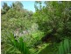 3 Villa Sorrento – 39 Davidson Street, Port Douglas QLD 4877