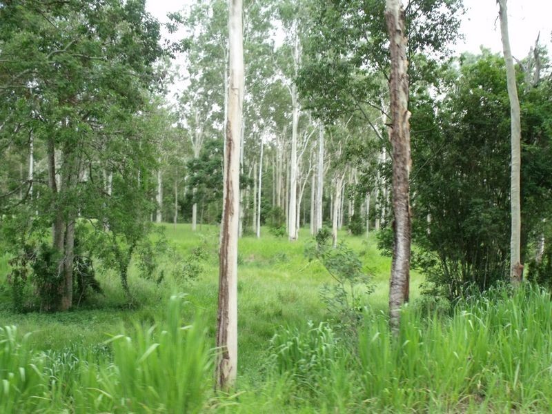 Lot/73 Jim Wier Road, Julatten QLD 4871