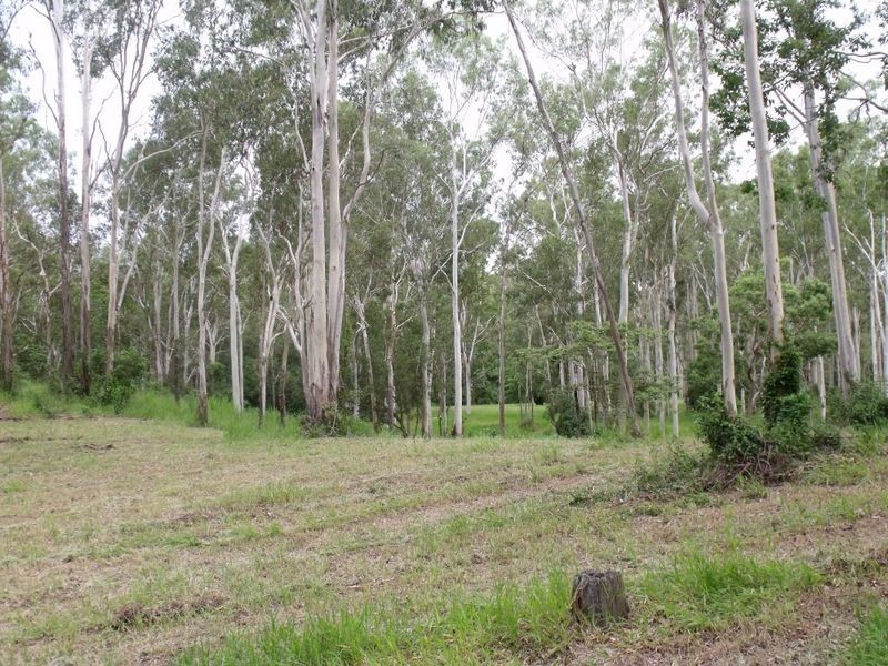 Lot/74 Jim Wier Road, Julatten QLD 4871