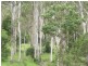 Lot/74 Jim Wier Road, Julatten QLD 4871