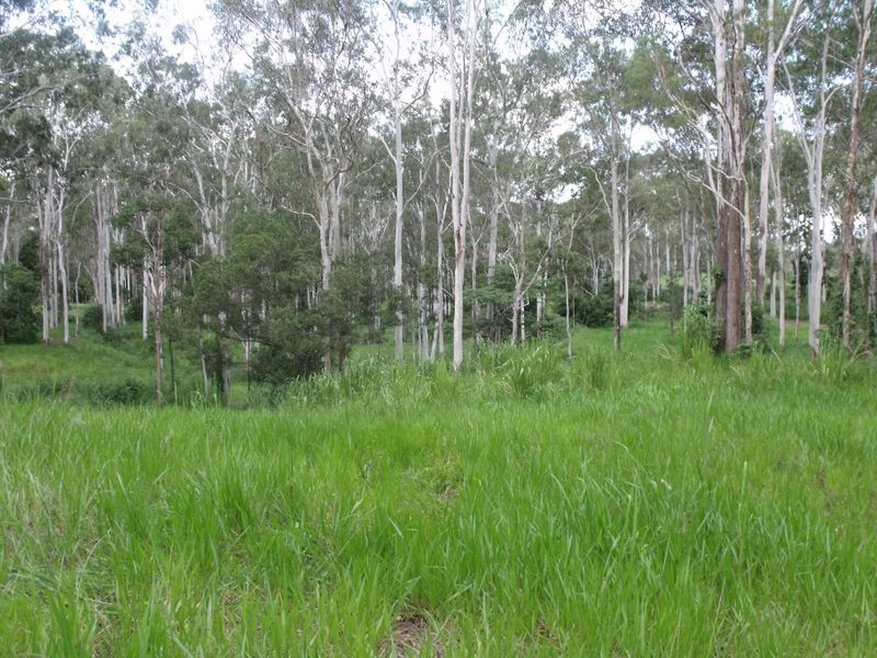 Lot/74 Jim Wier Road, Julatten QLD 4871