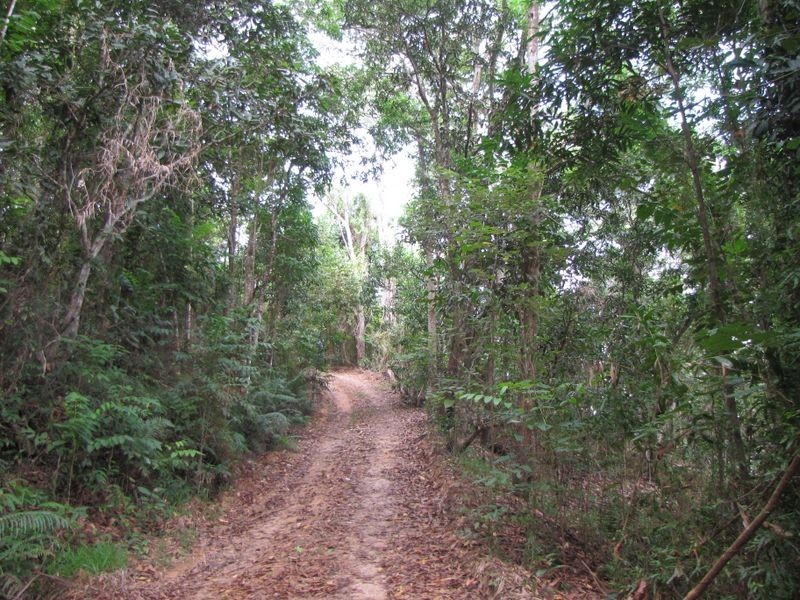 2/ Syndicate Road, Miallo QLD 4873