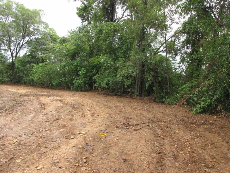 2/ Syndicate Road, Miallo QLD 4873