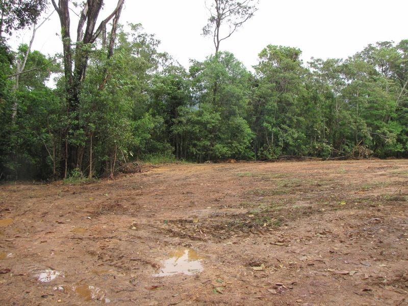 2/ Syndicate Road, Miallo QLD 4873