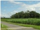2/ Syndicate Road, Miallo QLD 4873