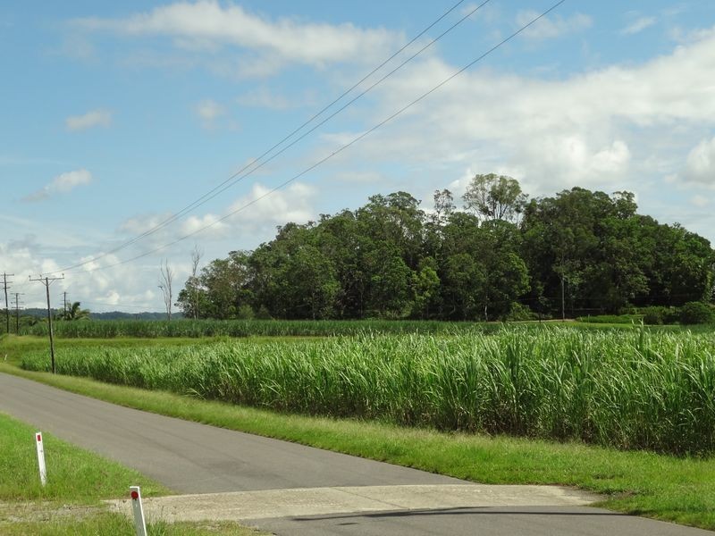 2/ Syndicate Road, Miallo QLD 4873