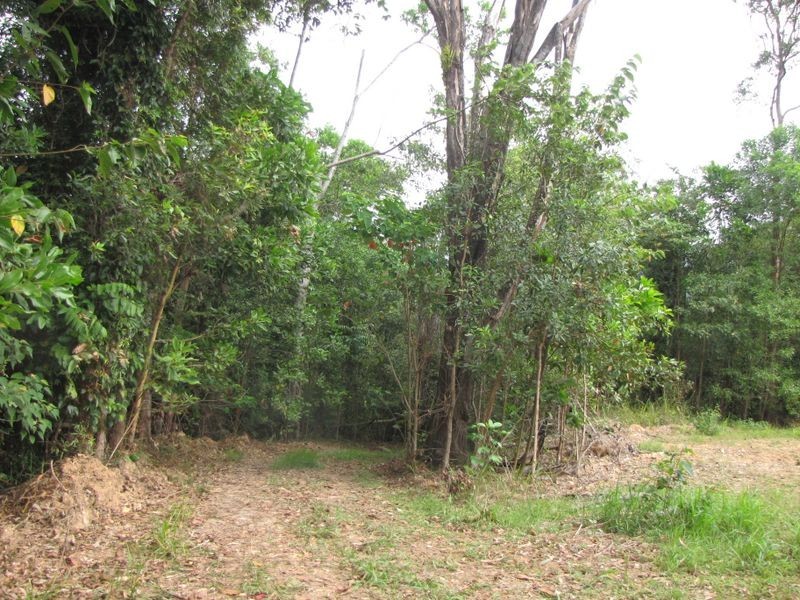 2/ Syndicate Road, Miallo QLD 4873