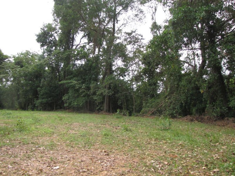 2/ Syndicate Road, Miallo QLD 4873