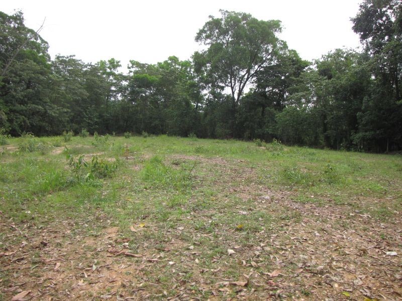 2/ Syndicate Road, Miallo QLD 4873