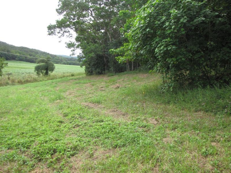 2/ Syndicate Road, Miallo QLD 4873