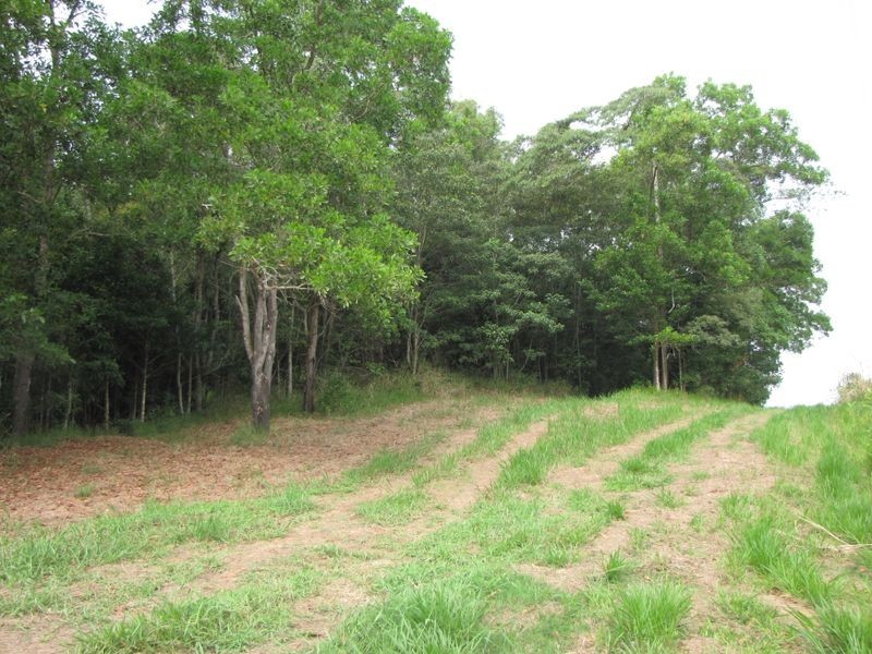 2/ Syndicate Road, Miallo QLD 4873