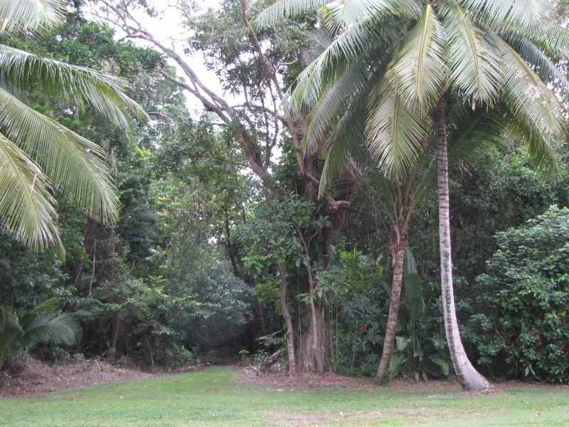 2/5 Little Reef Street, Port Douglas QLD 4877