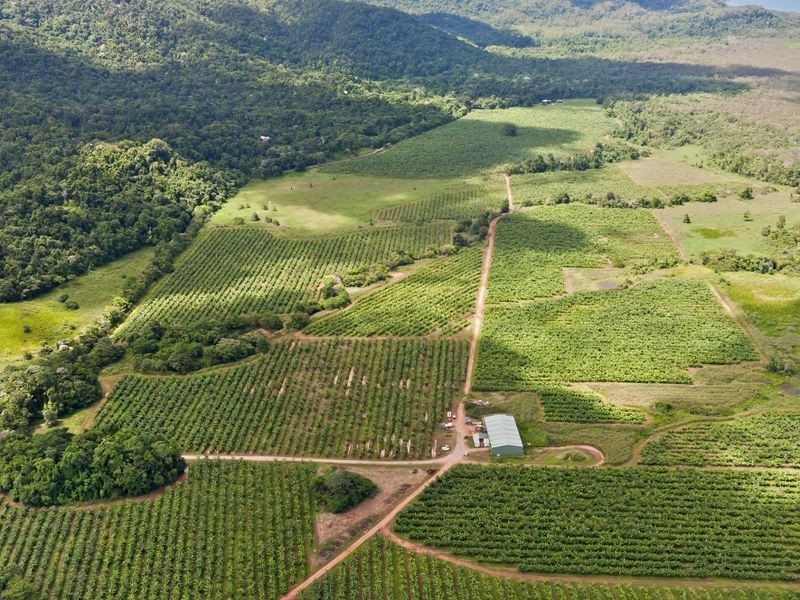 Lot 2 Kimberley Road, Daintree QLD 4873