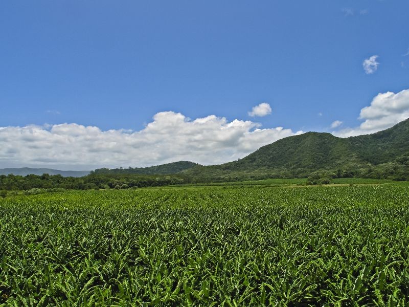 Lot 2 Kimberley Road, Daintree QLD 4873