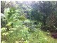 LOT/40 Ronald Road Forest Creek, Daintree QLD 4873
