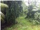 LOT/40 Ronald Road Forest Creek, Daintree QLD 4873