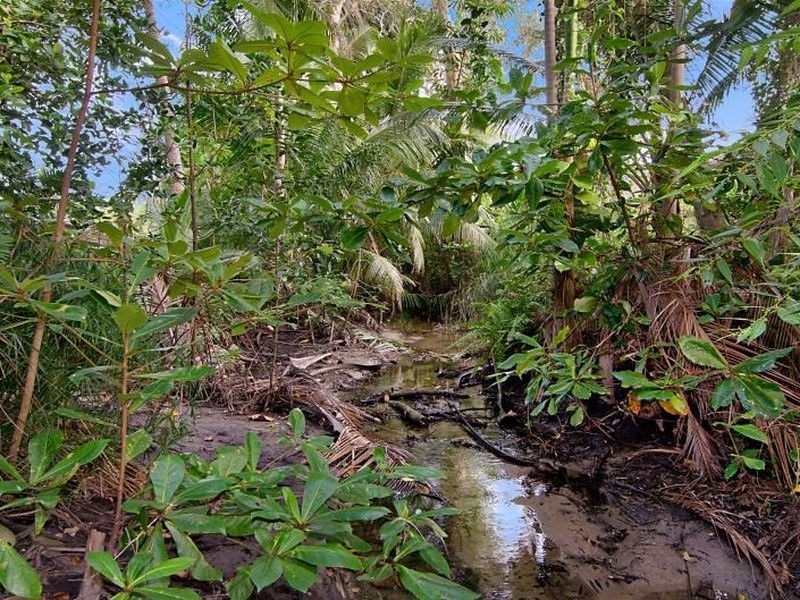 7 Solina Close, Port Douglas QLD 4877