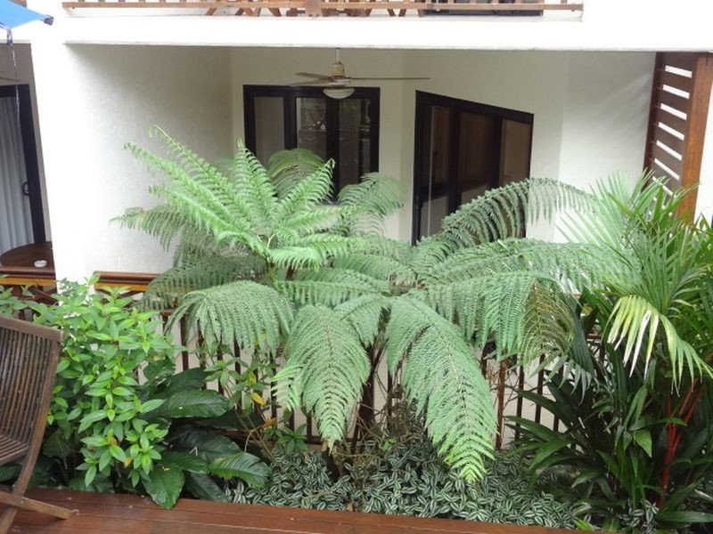 2 Freestyle Apartments, Port Douglas QLD 4877