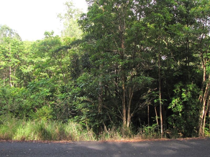 Lot/67 Forest Creek Road, Forest Creek QLD 4873