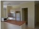 5 Sanderling Close, Port Douglas QLD 4877