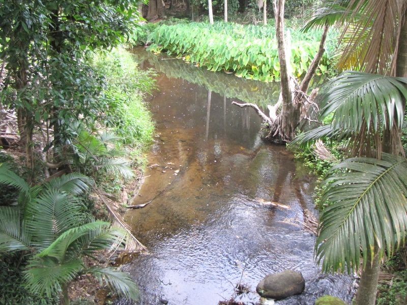 3/ Gorge Road, Mossman QLD 4873