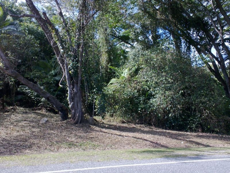 3/ Gorge Road, Mossman QLD 4873