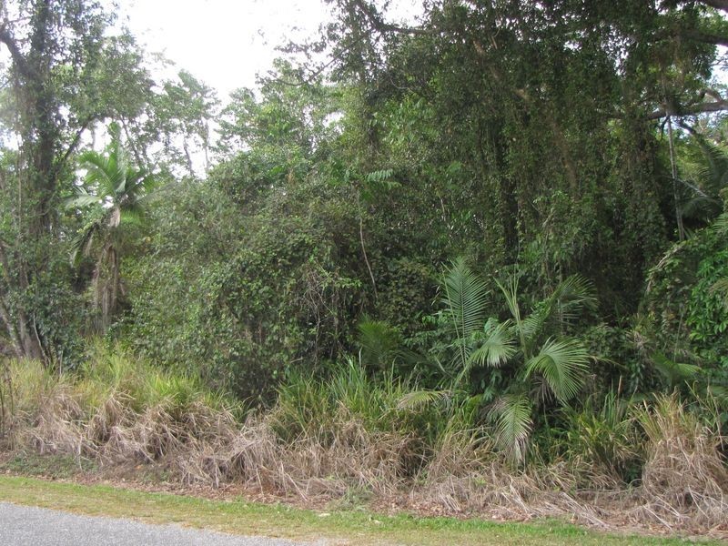 3/ Gorge Road, Mossman QLD 4873