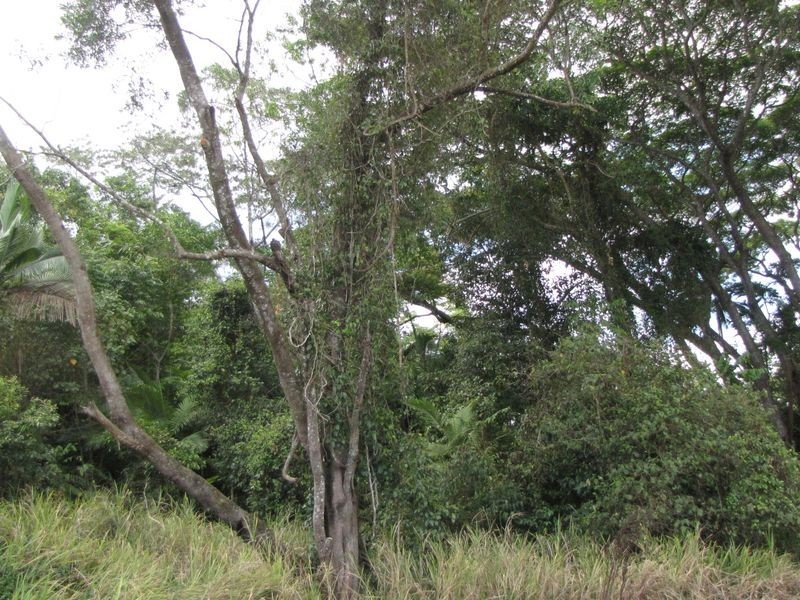 3/ Gorge Road, Mossman QLD 4873