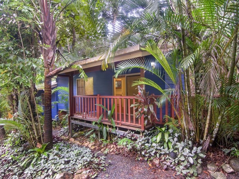 17 Stewart Street, Daintree QLD 4873