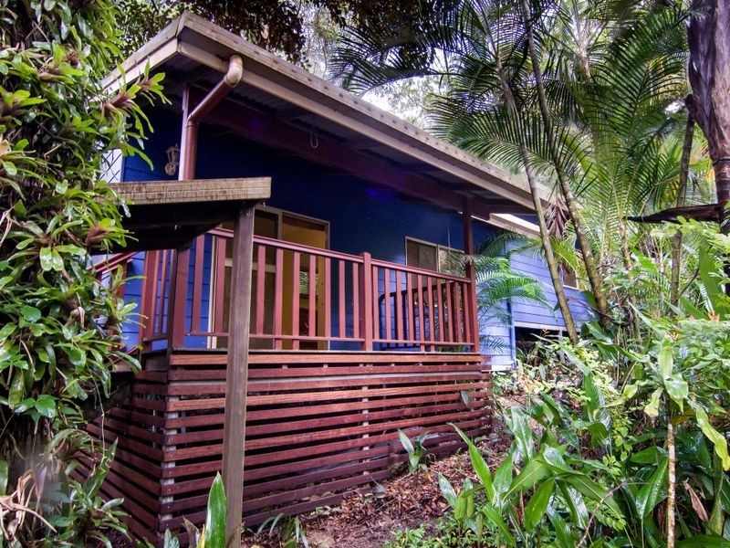 17 Stewart Street, Daintree QLD 4873