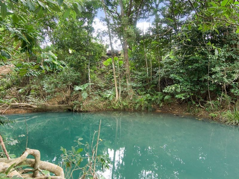 116 Upper Cassowary Road, Cape Tribulation QLD 4873