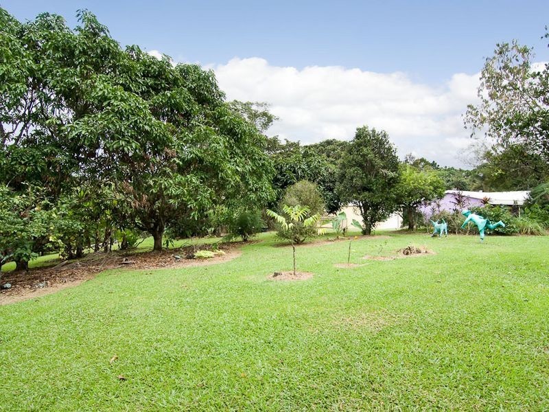 116 Upper Cassowary Road, Cape Tribulation QLD 4873