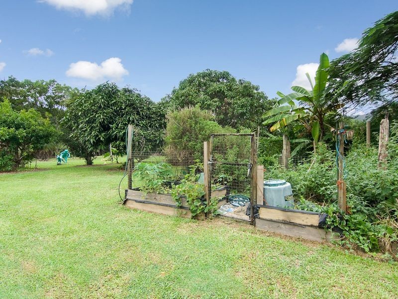 116 Upper Cassowary Road, Cape Tribulation QLD 4873