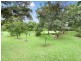 116 Upper Cassowary Road, Cape Tribulation QLD 4873